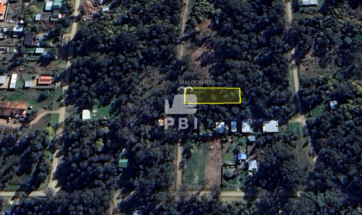 Sauce de Portezuelo - GoPunta - Portal Inmobiliario de Punta del Este - Maldonado