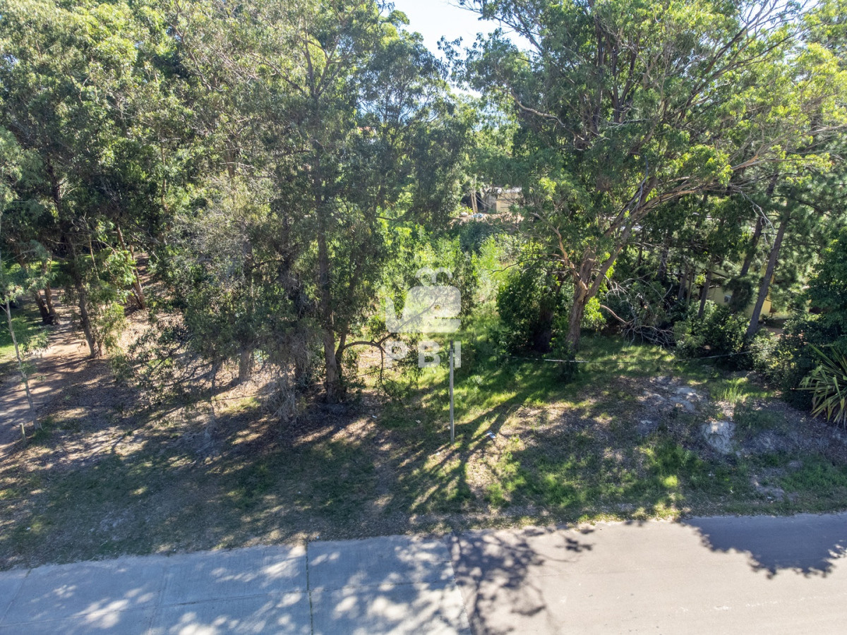 Rinconada - GoPunta - Portal Inmobiliario de Punta del Este - Maldonado