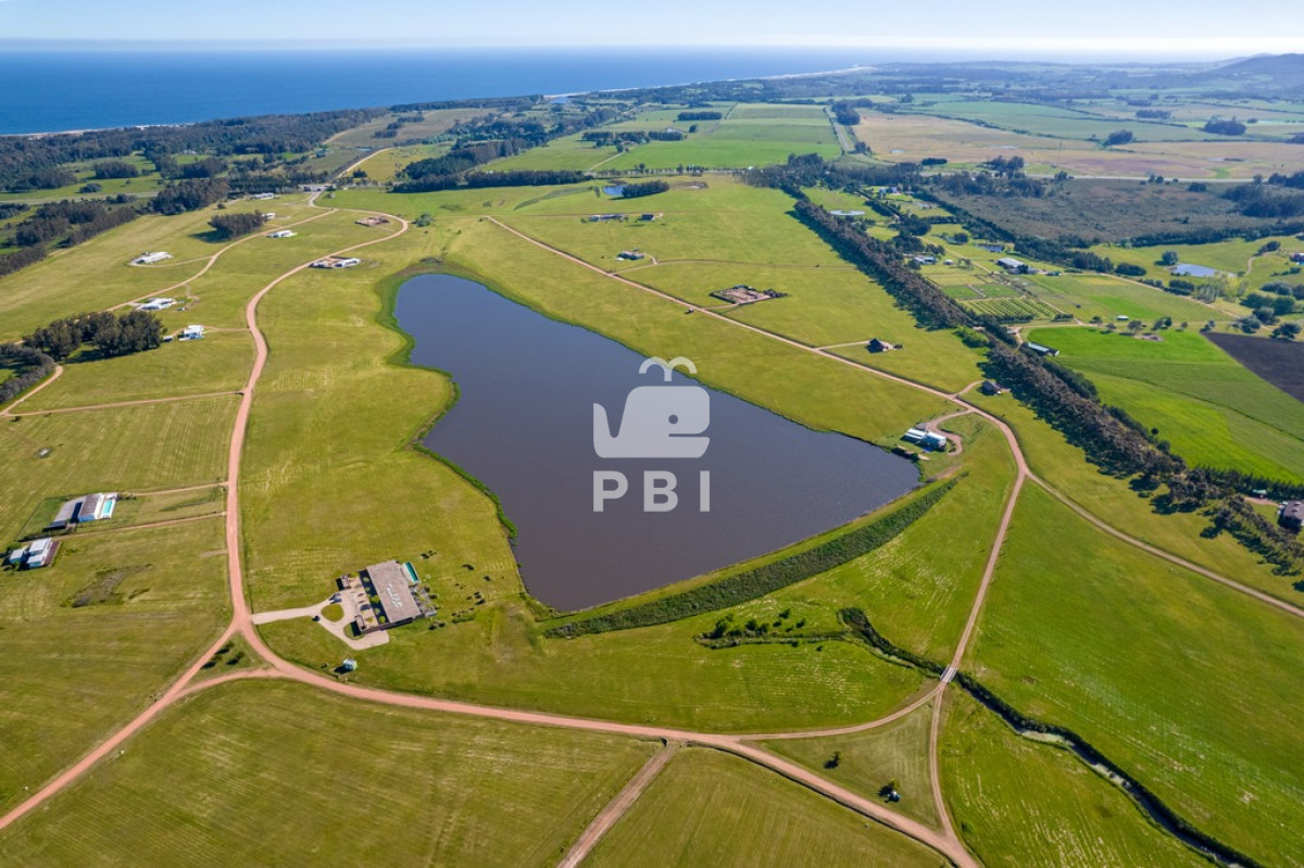 Laguna de los Cisnes - GoPunta - Portal Inmobiliario de Punta del Este - Maldonado
