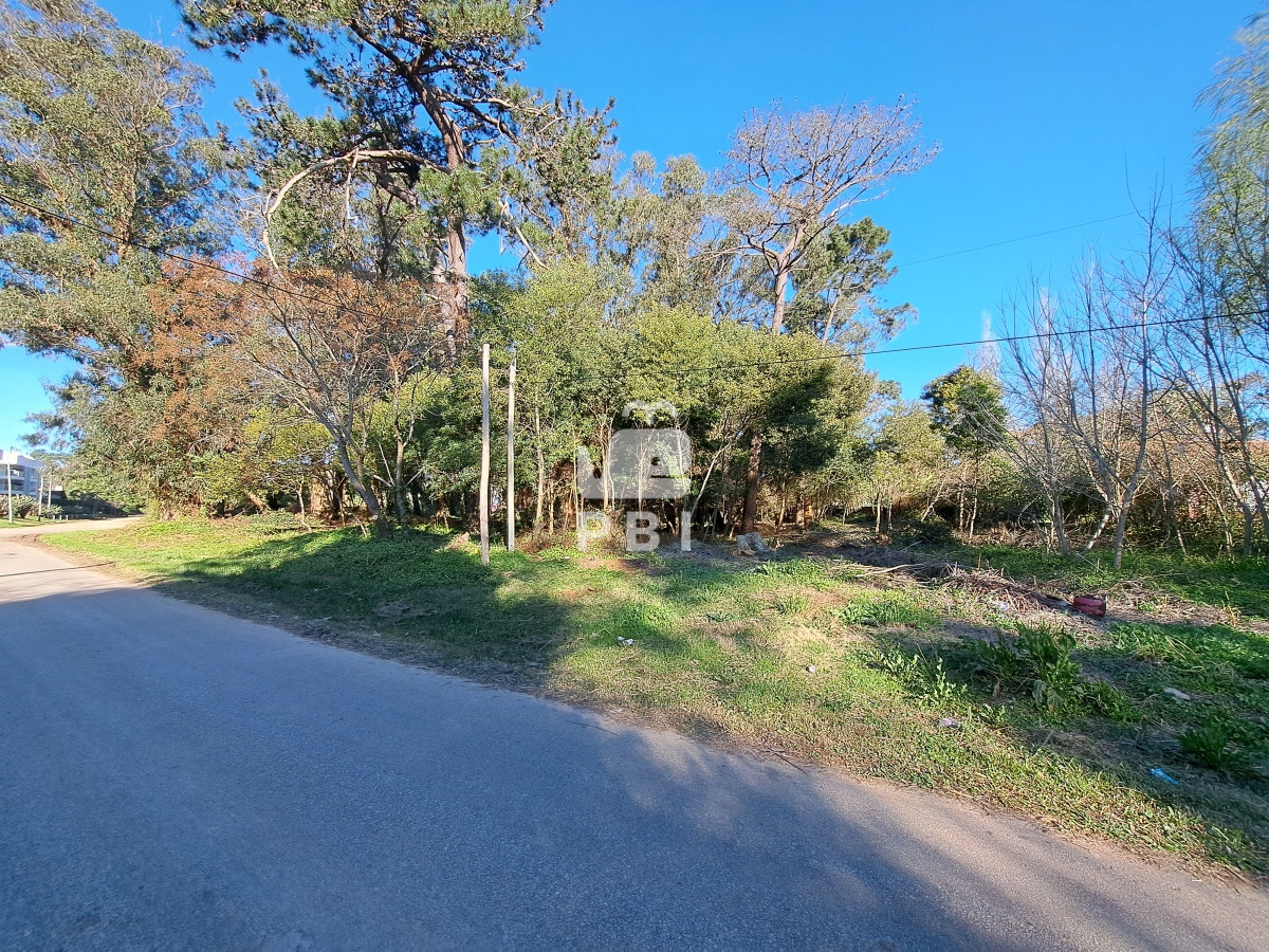 Propiedad - GoPunta - Portal Inmobiliario de Punta del Este - Maldonado