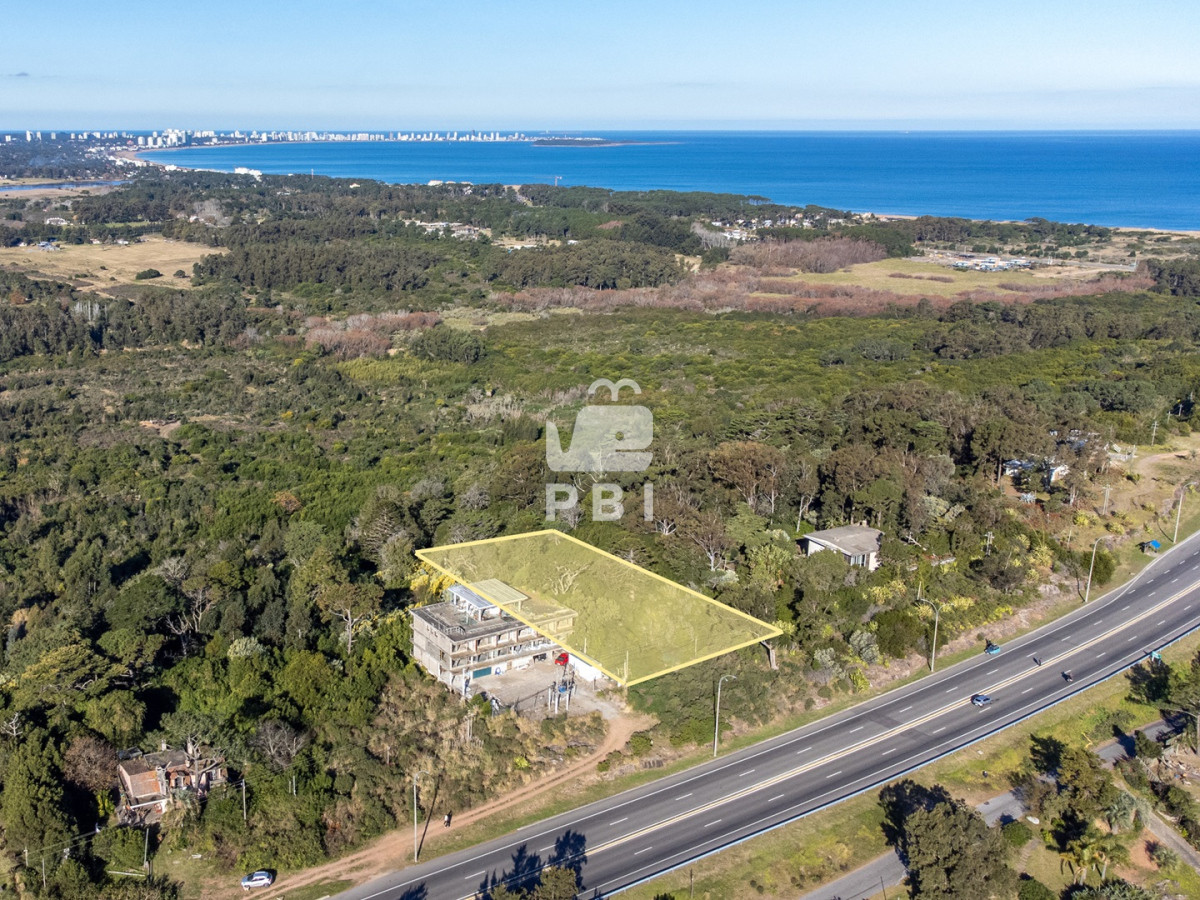 Lomo de la Ballena - GoPunta - Portal Inmobiliario de Punta del Este - Maldonado