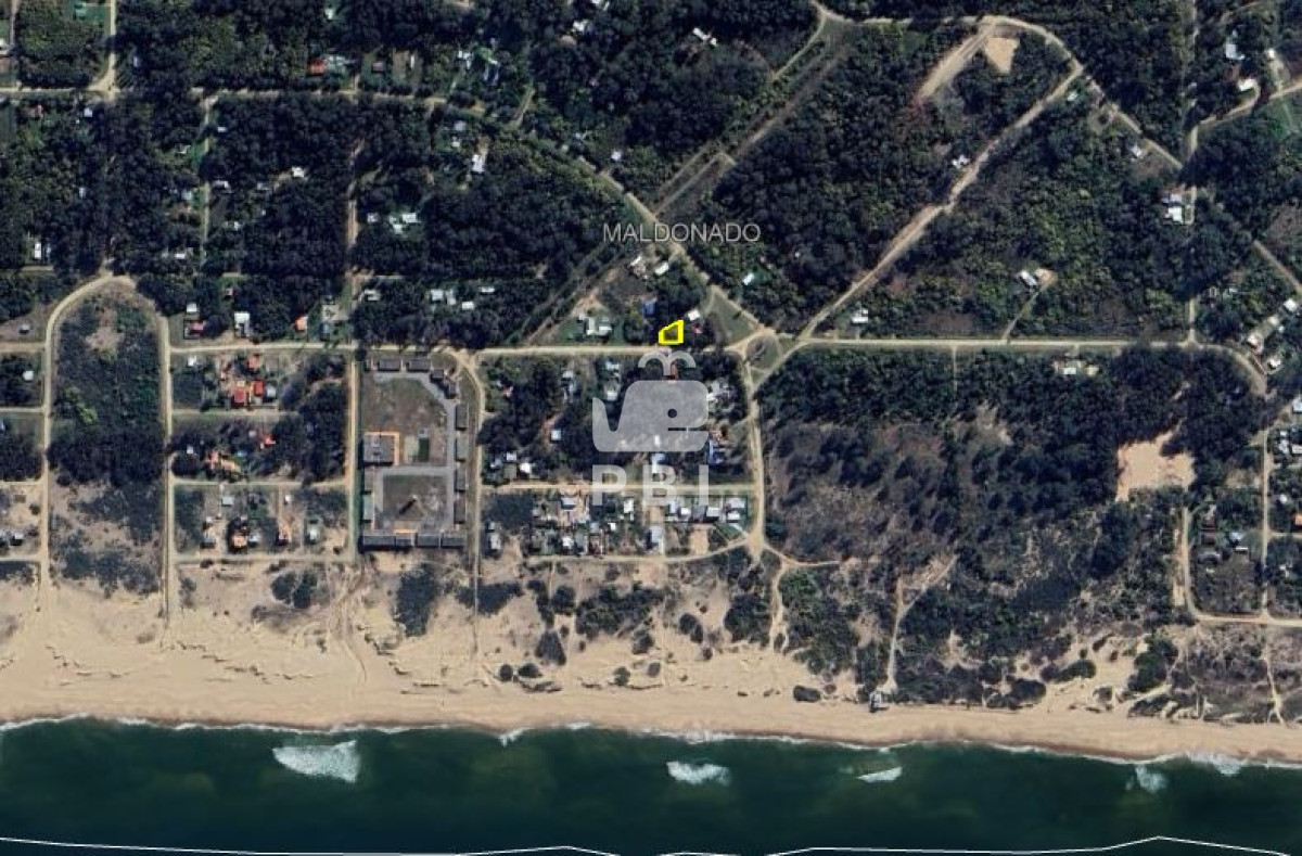 Sauce de Portezuelo - GoPunta - Portal Inmobiliario de Punta del Este - Maldonado