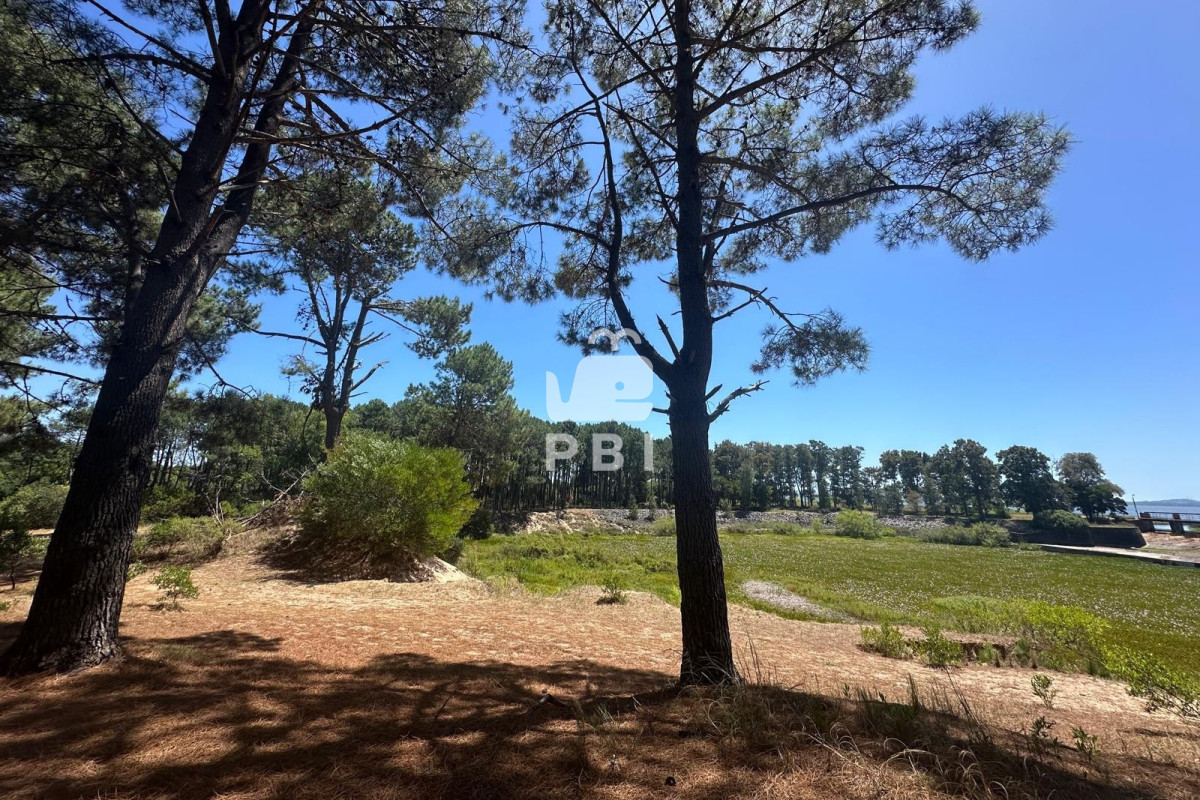 VGVycmVubyBlbiB2ZW50YSBlbiBDbHViIGRlbCBMYWdvLCBQdW50YSBCYWxsZW5hLiAtIFJlZiA6IFBCSTE1NjY3