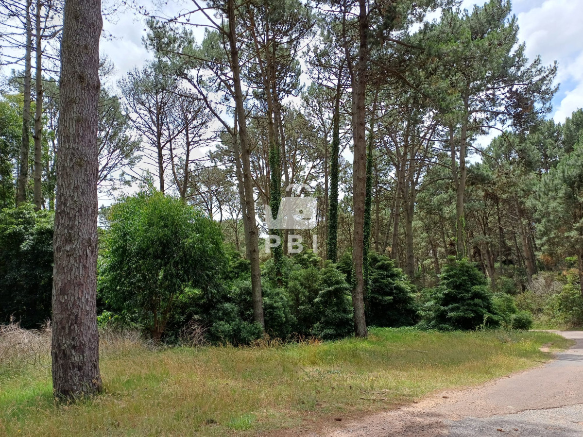 Club del Lago - GoPunta - Portal Inmobiliario de Punta del Este - Maldonado