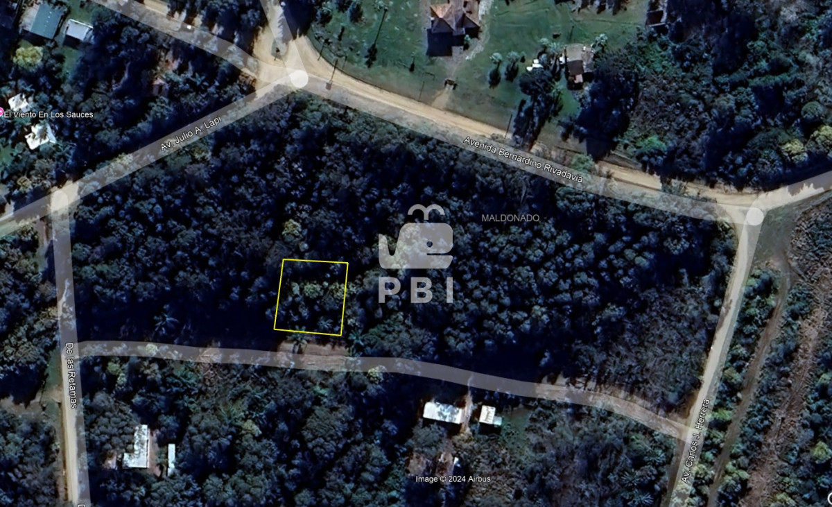 Sauce de Portezuelo - GoPunta - Portal Inmobiliario de Punta del Este - Maldonado
