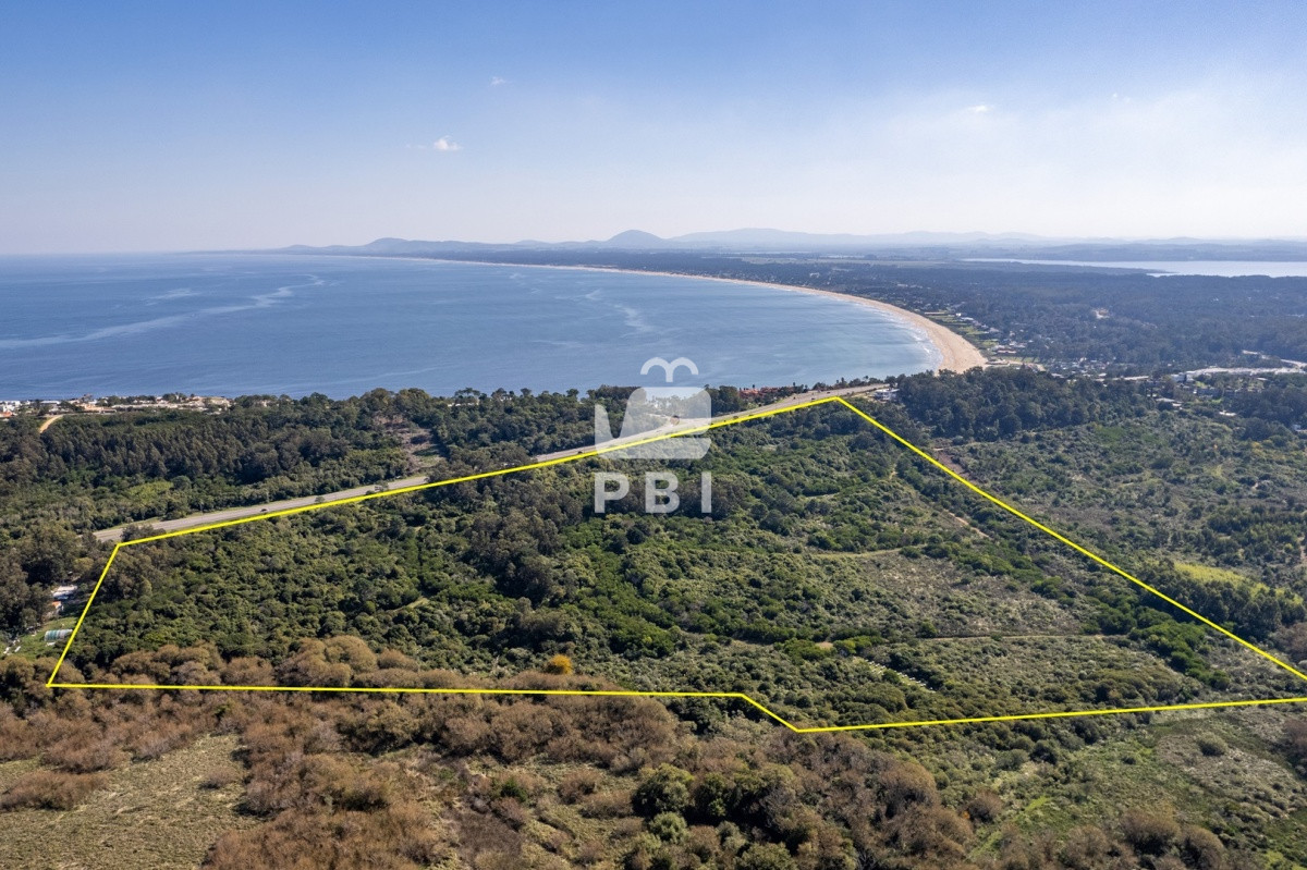 Lomo de la Ballena - GoPunta - Portal Inmobiliario de Punta del Este - Maldonado