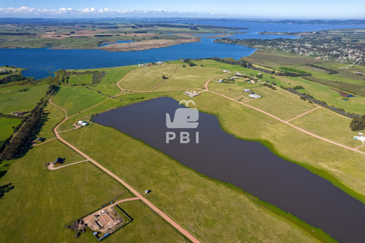 Laguna de los Cisnes - GoPunta - Portal Inmobiliario de Punta del Este - Maldonado