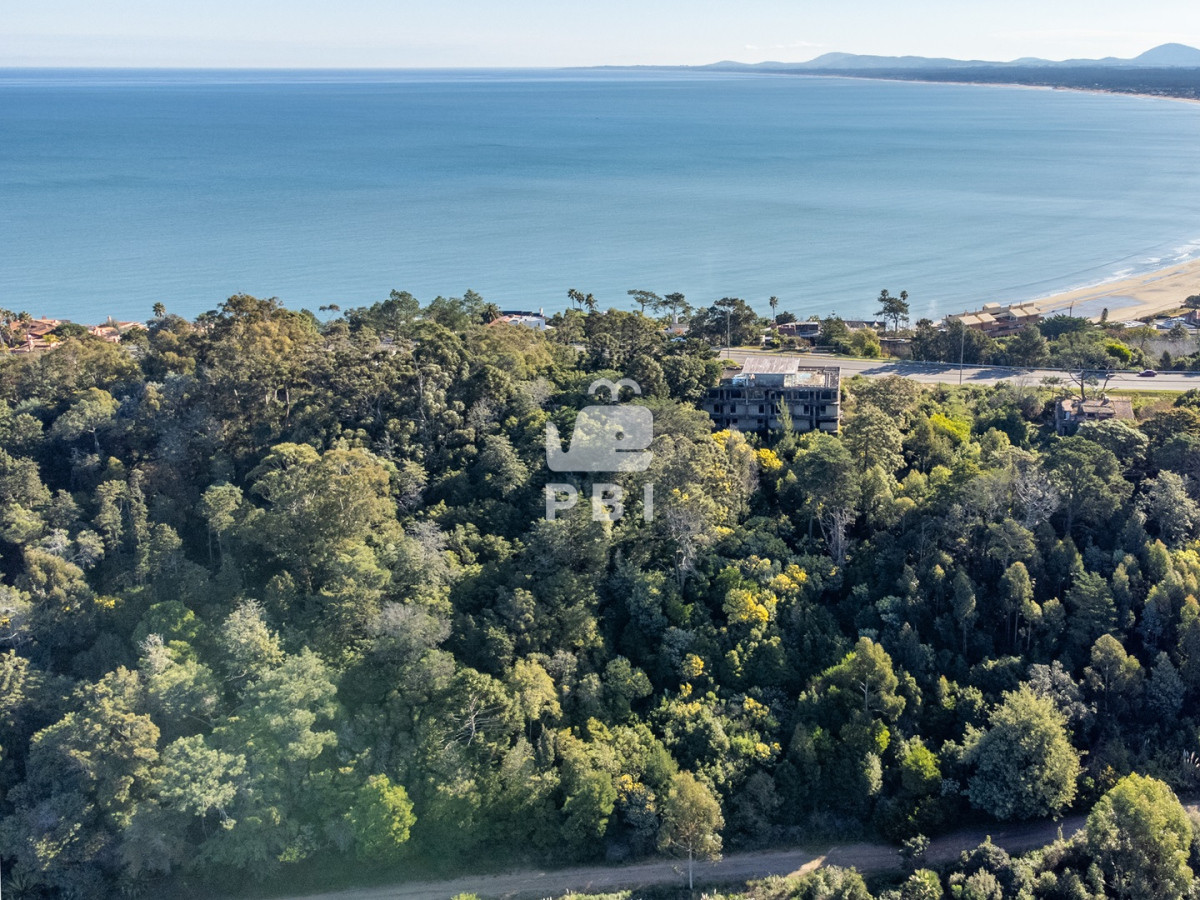 Lomo de la Ballena - GoPunta - Portal Inmobiliario de Punta del Este - Maldonado