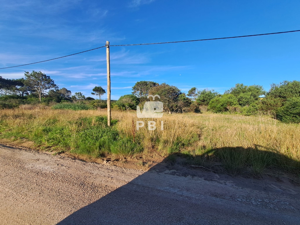 Balneario Buenos Aires - GoPunta - Portal Inmobiliario de Punta del Este - Maldonado