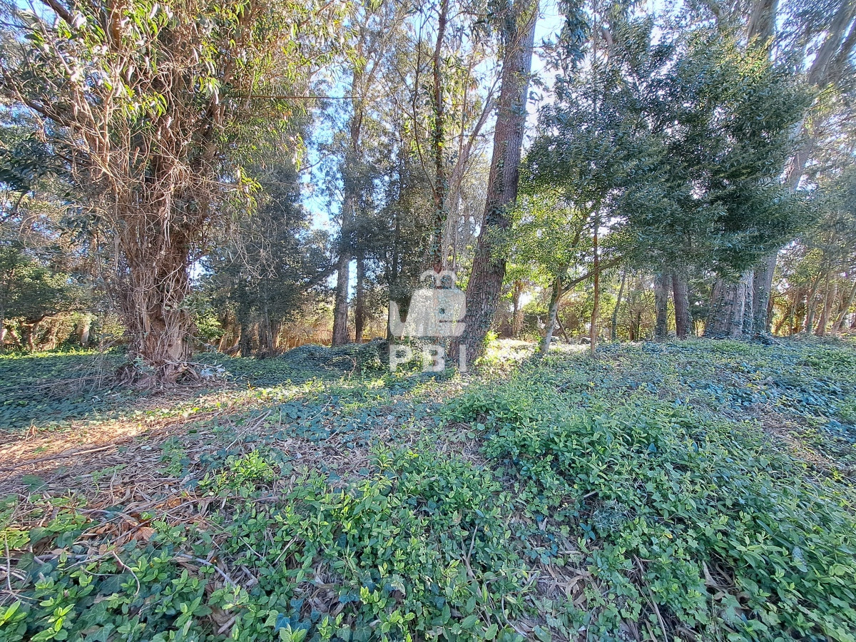 Propiedad - GoPunta - Portal Inmobiliario de Punta del Este - Maldonado