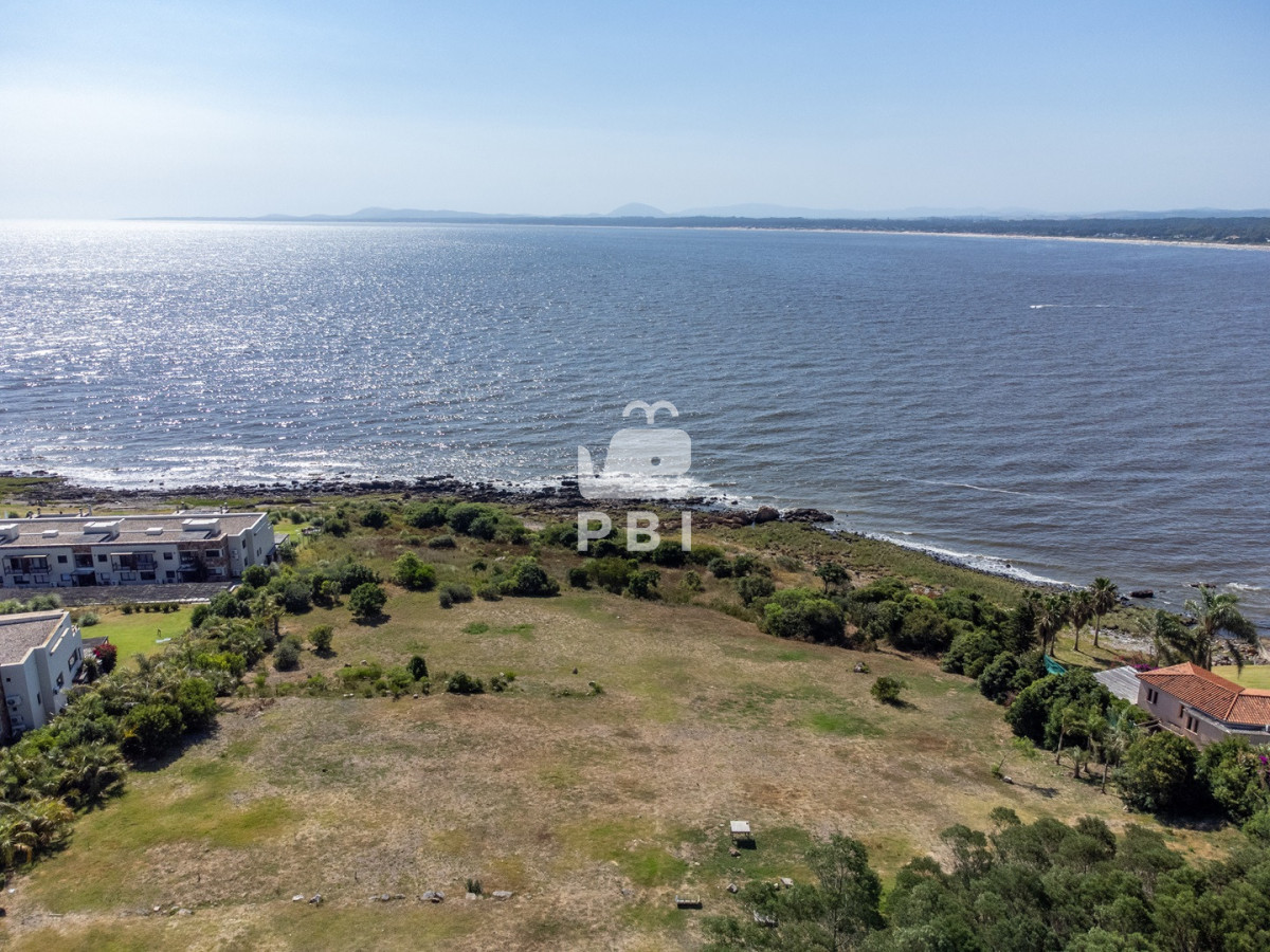 TG90ZSBlbiBMb21vIGRlIGxhIEJhbGxlbmEsIFB1bnRhIEJhbGxlbmEgLSBSZWYgOiBQQkkyOTM2