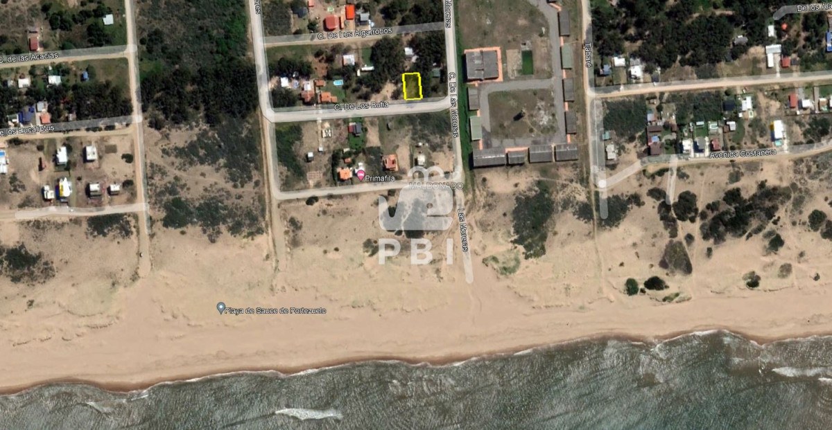 Sauce de Portezuelo - GoPunta - Portal Inmobiliario de Punta del Este - Maldonado