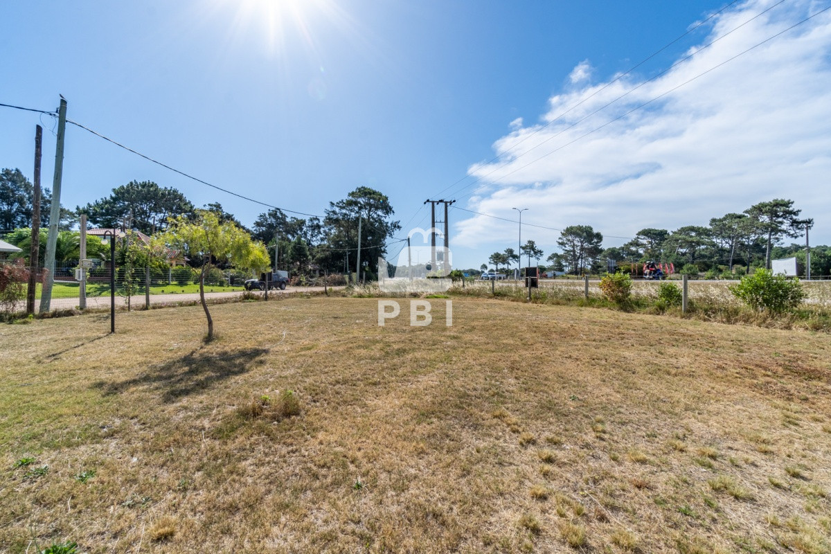 Tio Tom - GoPunta - Portal Inmobiliario de Punta del Este - Maldonado