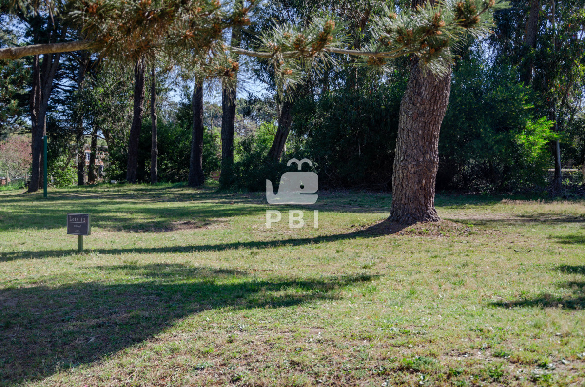 Piedras del Chileno - GoPunta - Portal Inmobiliario de Punta del Este - Maldonado