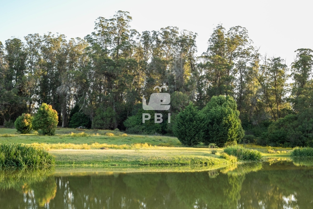 QmFycmlvIGRlbCBHb2xmIFB1bnRhIERlbCBFc3RlIC0gUmVmIDogUEJJMTMyMTY=