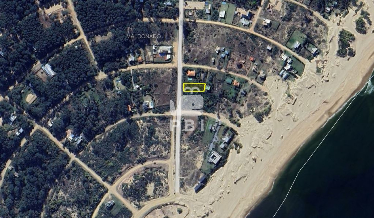 Chihuahua - GoPunta - Portal Inmobiliario de Punta del Este - Maldonado