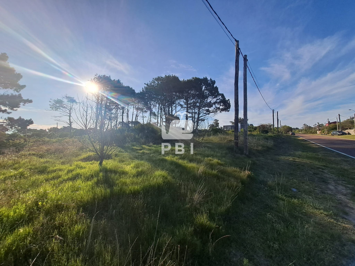 Balneario Buenos Aires - GoPunta - Portal Inmobiliario de Punta del Este - Maldonado