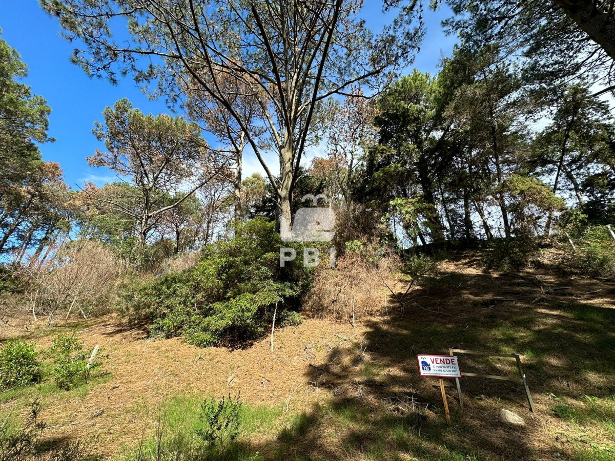 Club del Lago - GoPunta - Portal Inmobiliario de Punta del Este - Maldonado