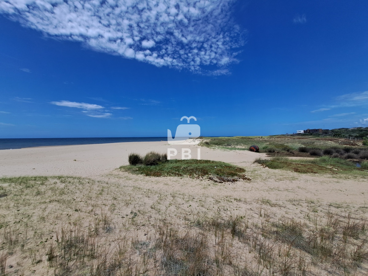 Santa Monica - GoPunta - Portal Inmobiliario de Punta del Este - Maldonado