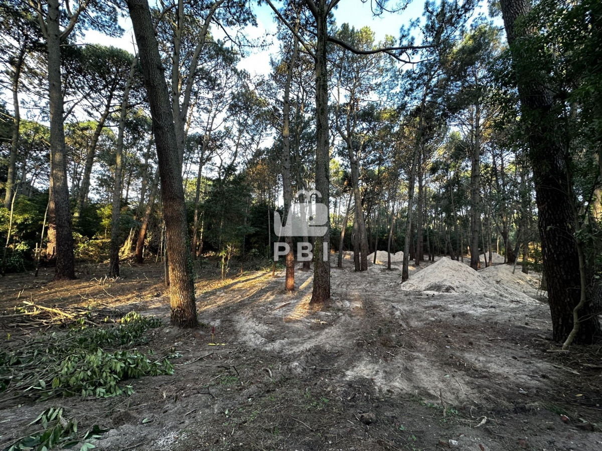 Portezuelo Bosque - GoPunta - Portal Inmobiliario de Punta del Este - Maldonado