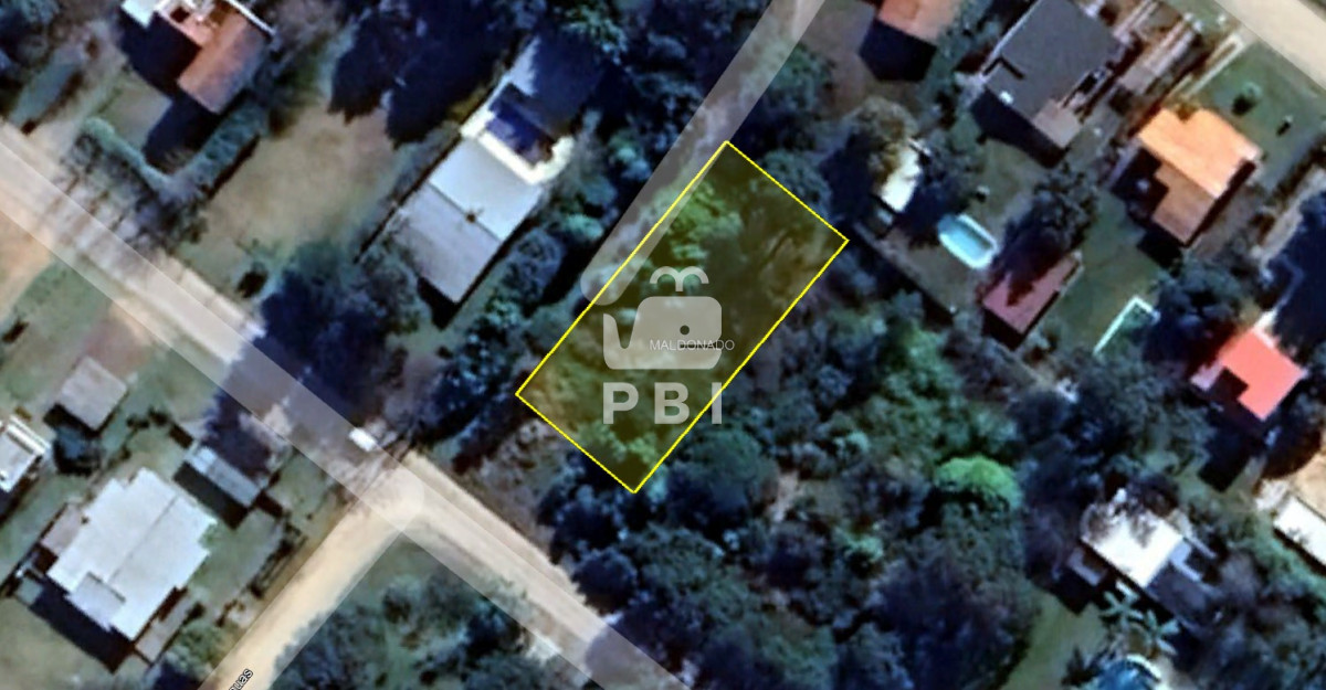 Tio Tom - GoPunta - Portal Inmobiliario de Punta del Este - Maldonado
