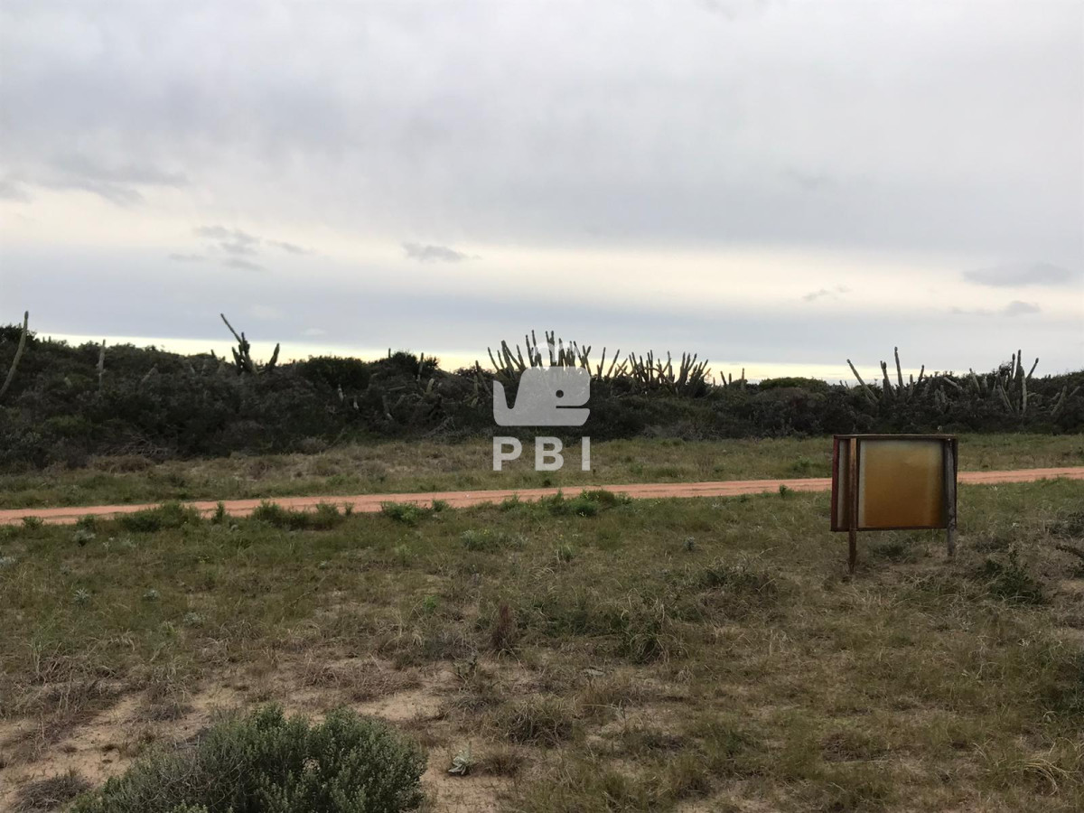 Sauce de Portezuelo - GoPunta - Portal Inmobiliario de Punta del Este - Maldonado