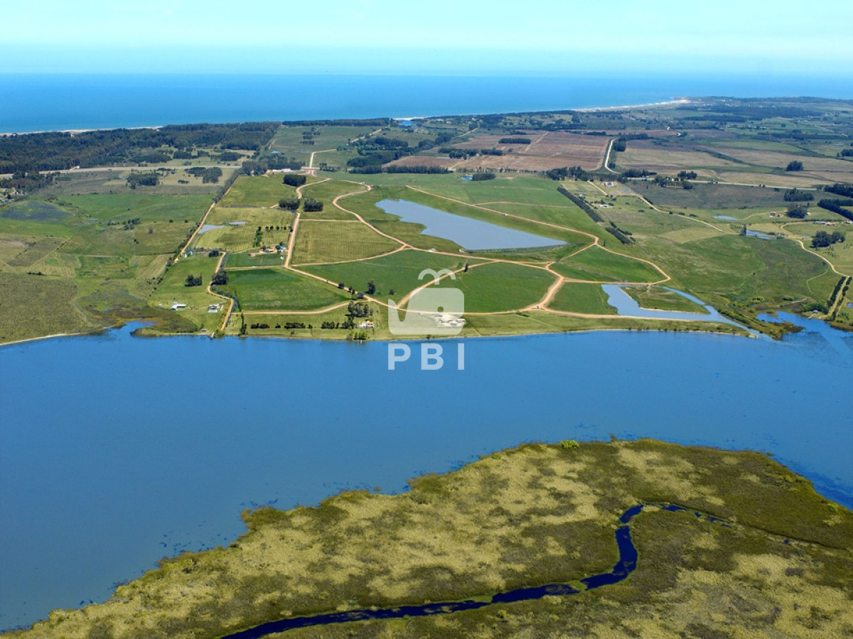 Laguna de los Cisnes - GoPunta - Portal Inmobiliario de Punta del Este - Maldonado
