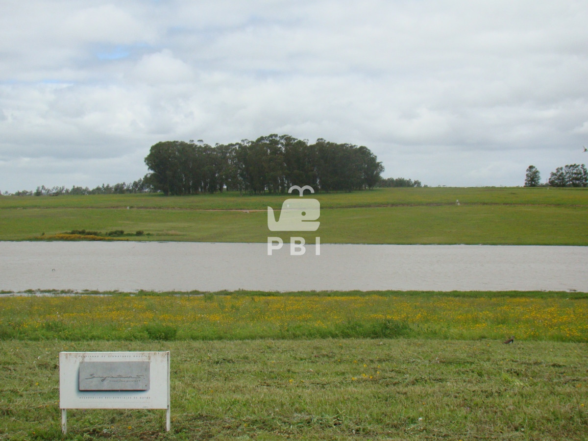 Laguna de los Cisnes - GoPunta - Portal Inmobiliario de Punta del Este - Maldonado