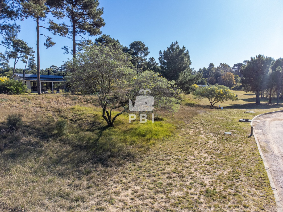 Laguna del Sauce - GoPunta - Portal Inmobiliario de Punta del Este - Maldonado