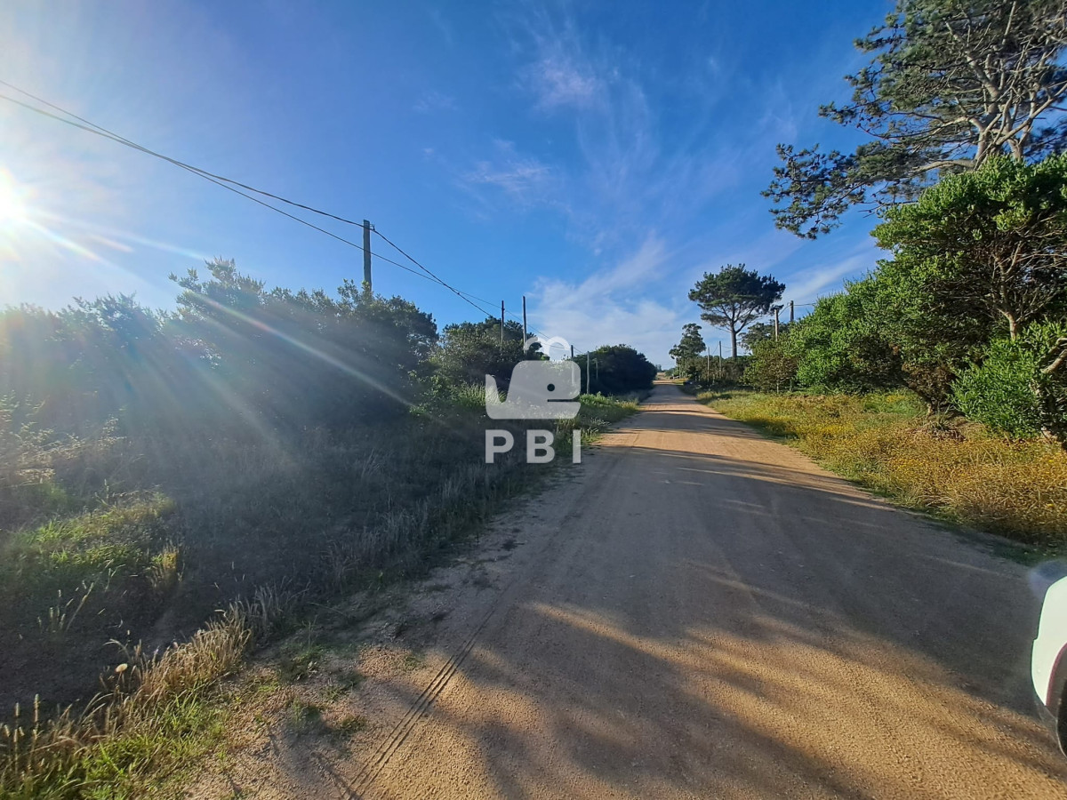Balneario Buenos Aires - GoPunta - Portal Inmobiliario de Punta del Este - Maldonado