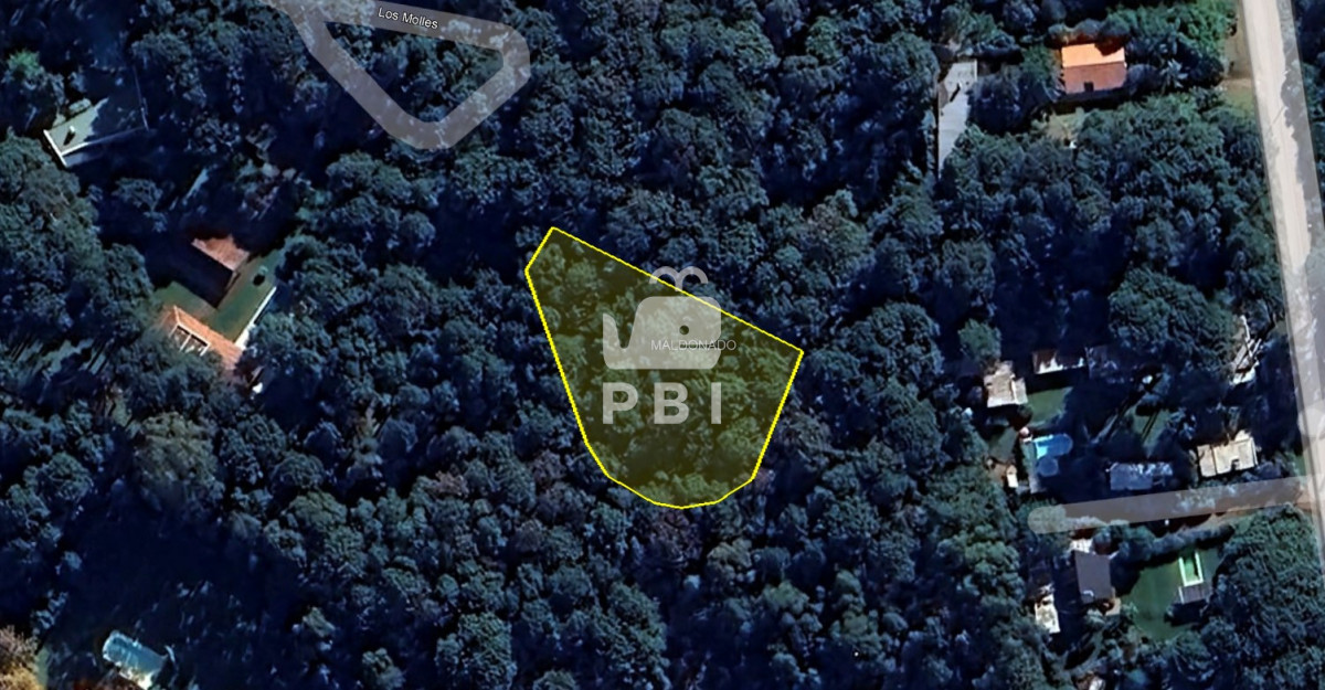 Portezuelo Bosque - GoPunta - Portal Inmobiliario de Punta del Este - Maldonado