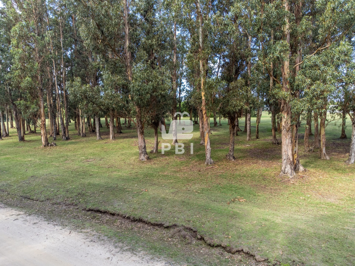 El Quijote - GoPunta - Portal Inmobiliario de Punta del Este - Maldonado
