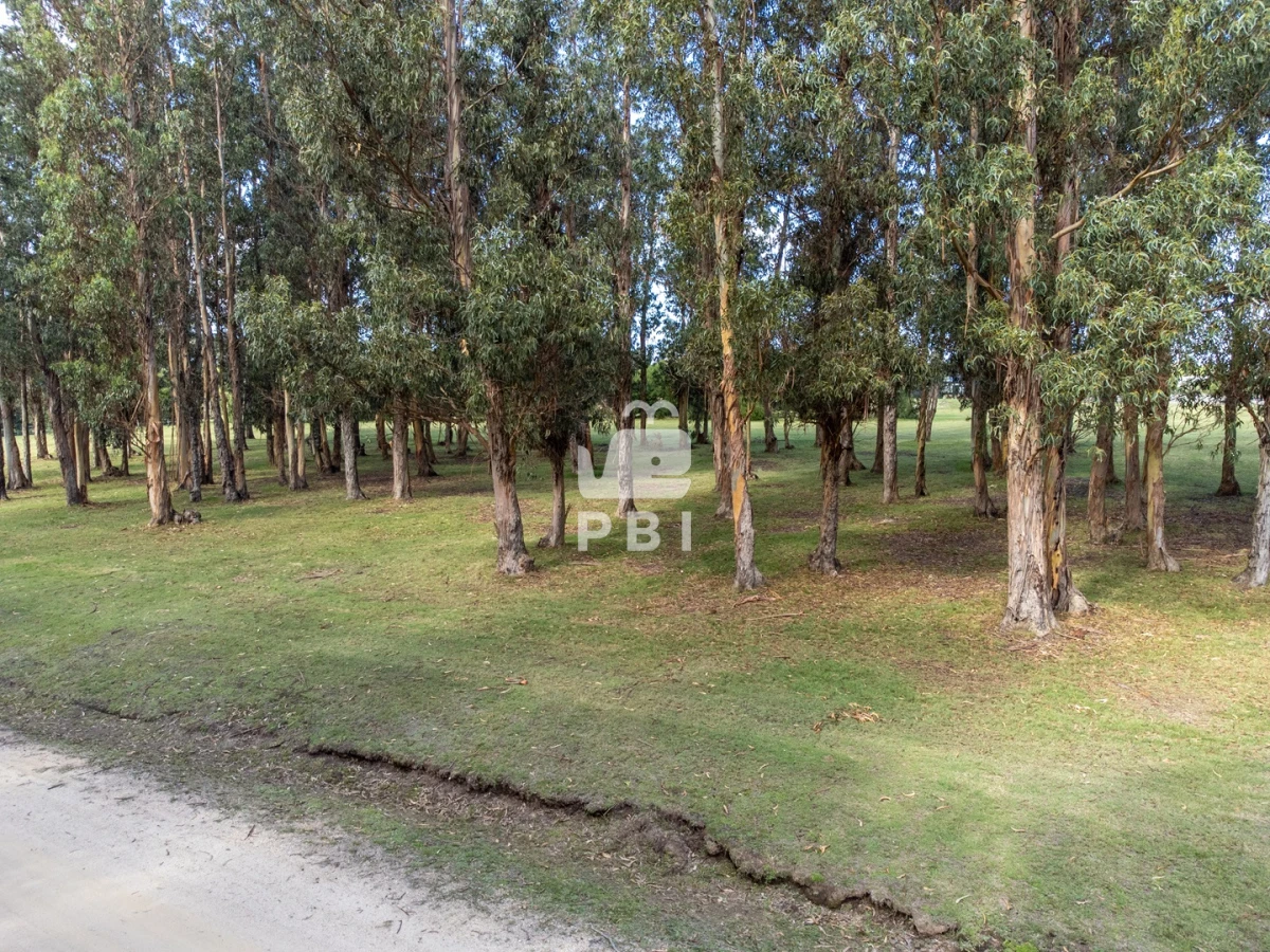 El Quijote - GoPunta - Portal Inmobiliario de Punta del Este - Maldonado
