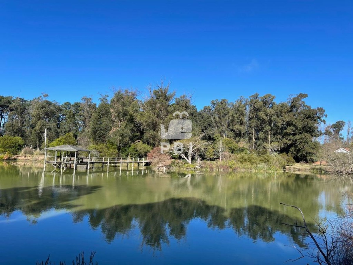 Lugano - GoPunta - Portal Inmobiliario de Punta del Este - Maldonado