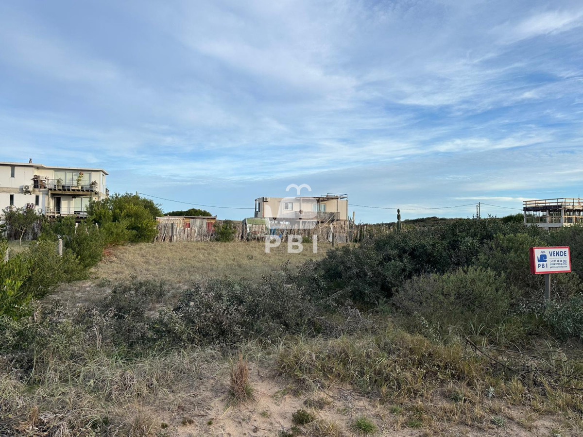 Sauce de Portezuelo - GoPunta - Portal Inmobiliario de Punta del Este - Maldonado
