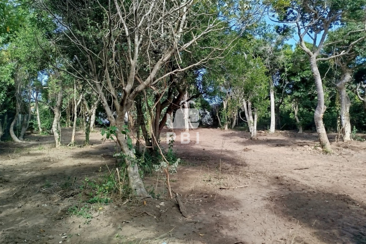 dGVycmVubyBlbiB2ZW50YSAsIExhcyBHcnV0YXMgLSBSZWYgOiBQQkkxNDIxOA==