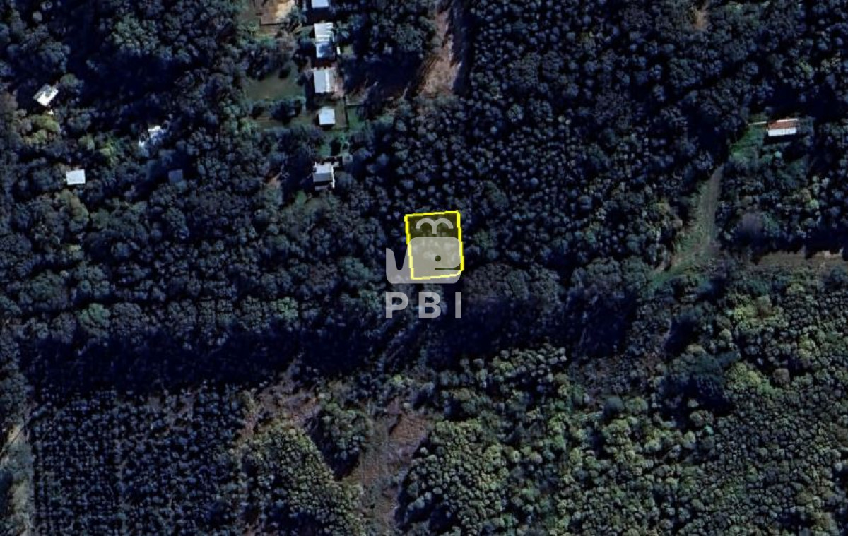 Sauce de Portezuelo - GoPunta - Portal Inmobiliario de Punta del Este - Maldonado
