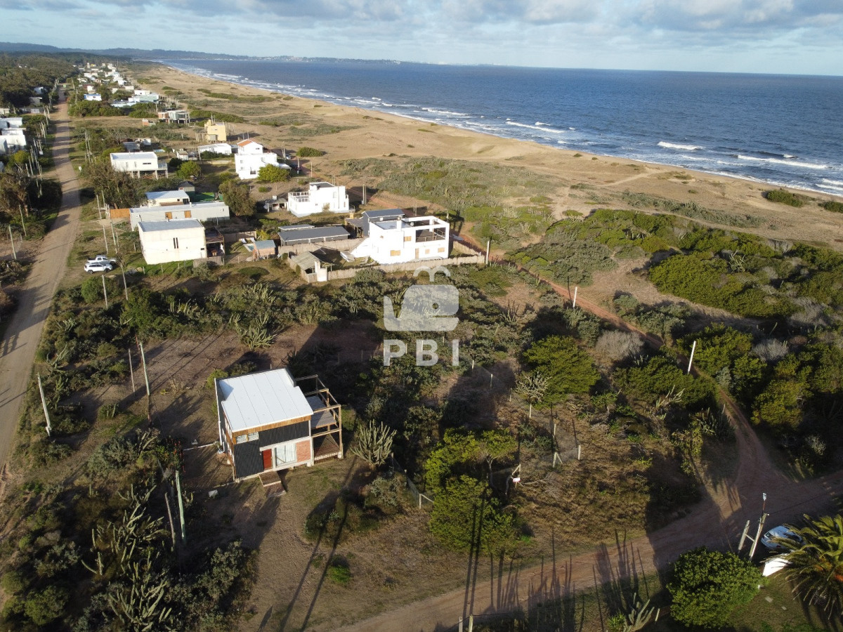 Sauce de Portezuelo - GoPunta - Portal Inmobiliario de Punta del Este - Maldonado