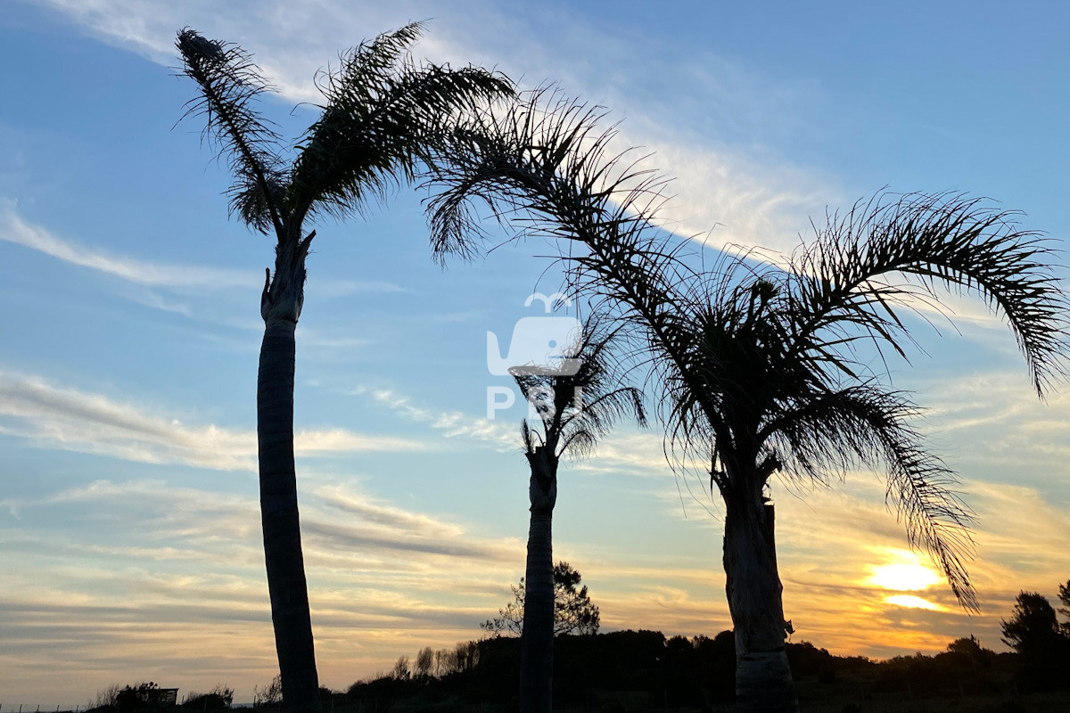 VGVycmVubyBlbiB2ZW50YSBlbiBQdWVibG8gZGVsIE1hciwgSmF1cmVndWliZXJyeSwgQ2FuZWxvbmVzIC0gUmVmIDogUEJJMTU0ODM=