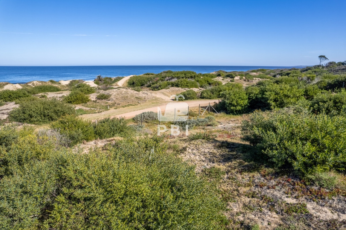 Ocean Park - GoPunta - Portal Inmobiliario de Punta del Este - Maldonado