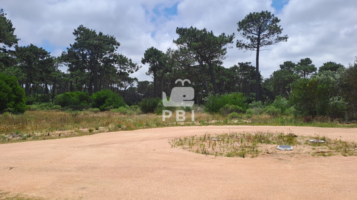 Montoya - GoPunta - Portal Inmobiliario de Punta del Este - Maldonado