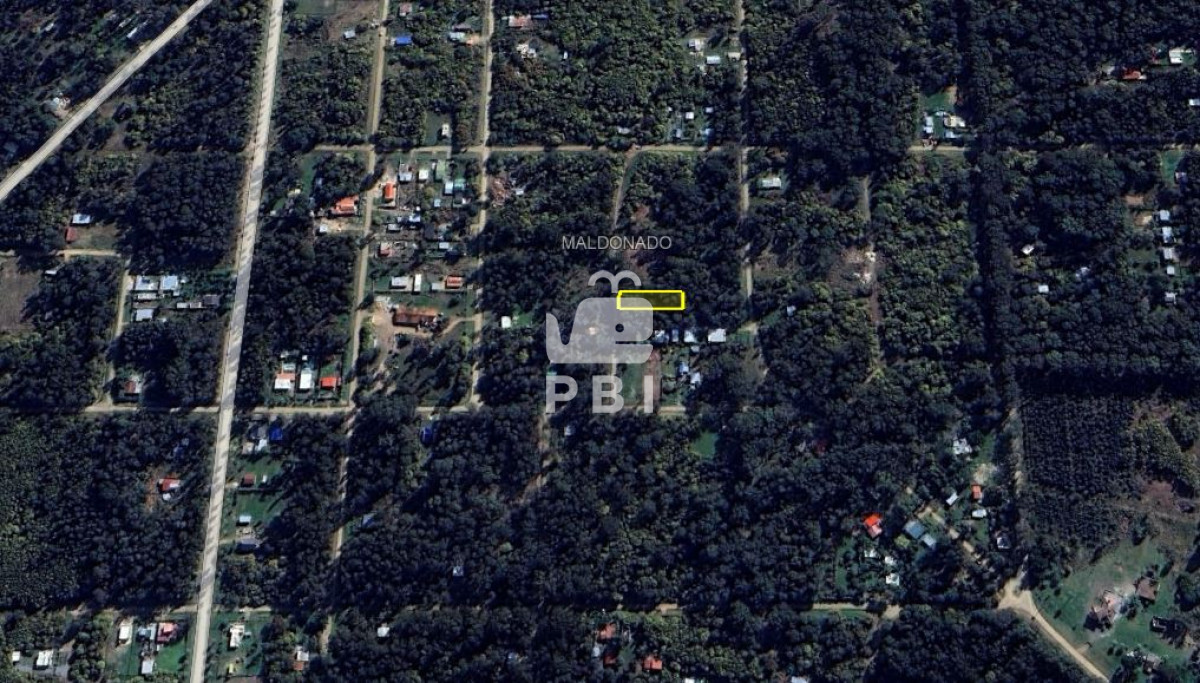 Sauce de Portezuelo - GoPunta - Portal Inmobiliario de Punta del Este - Maldonado