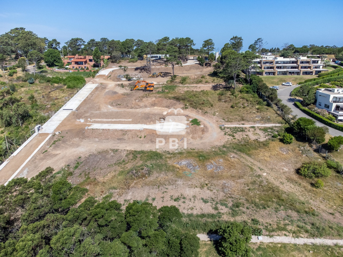 TG90ZSBlbiBMb21vIGRlIGxhIEJhbGxlbmEsIFB1bnRhIEJhbGxlbmEgLSBSZWYgOiBQQkkyOTM3