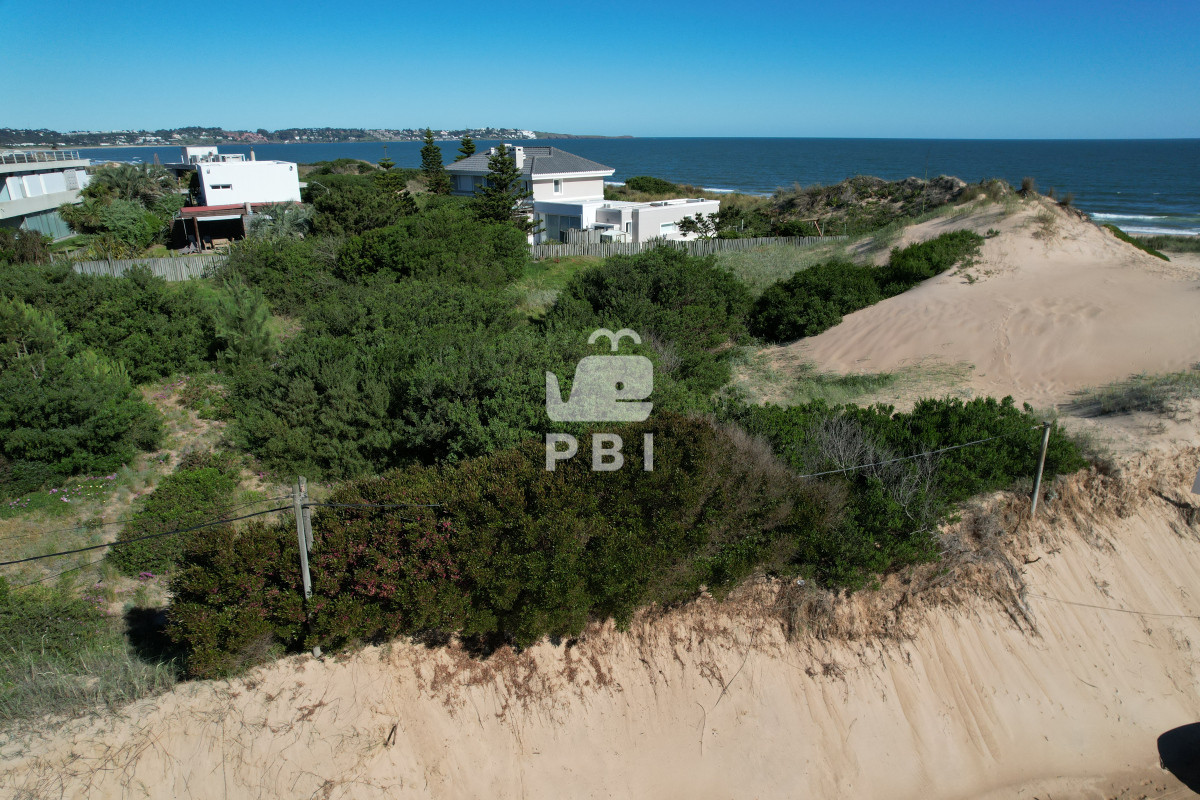Tio Tom - GoPunta - Portal Inmobiliario de Punta del Este - Maldonado