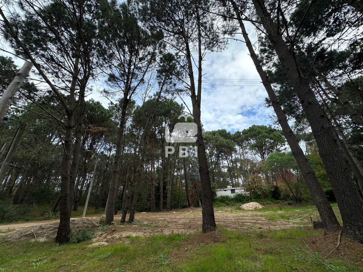 Portezuelo Bosque - GoPunta - Portal Inmobiliario de Punta del Este - Maldonado