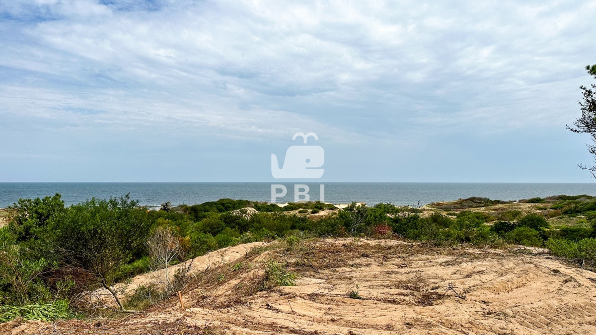 Sauce de Portezuelo - GoPunta - Portal Inmobiliario de Punta del Este - Maldonado