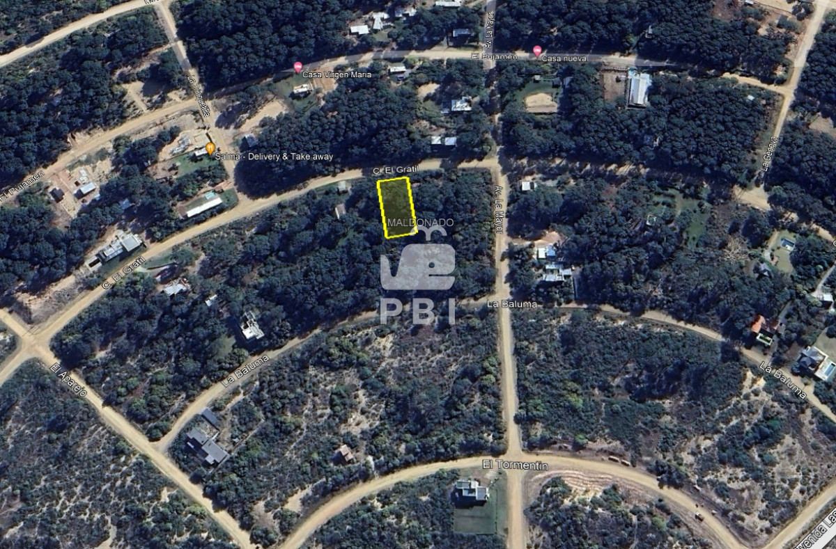 Chihuahua - GoPunta - Portal Inmobiliario de Punta del Este - Maldonado