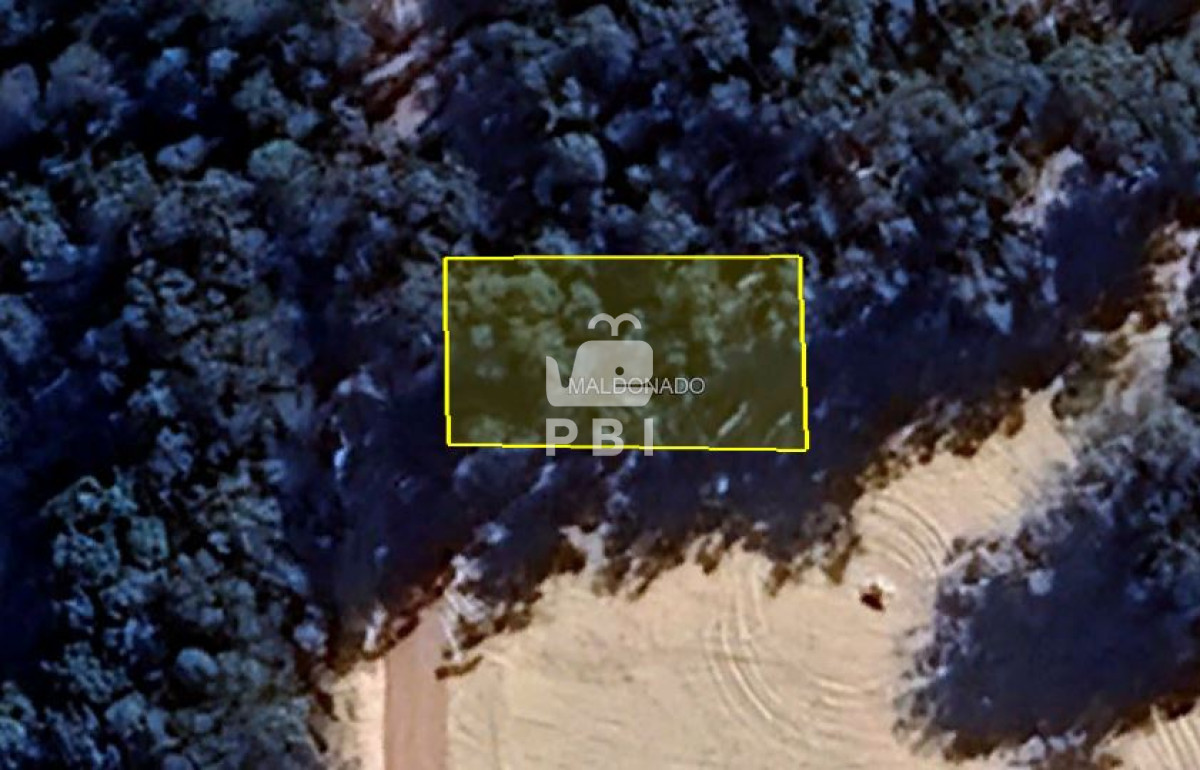 Sauce de Portezuelo - GoPunta - Portal Inmobiliario de Punta del Este - Maldonado