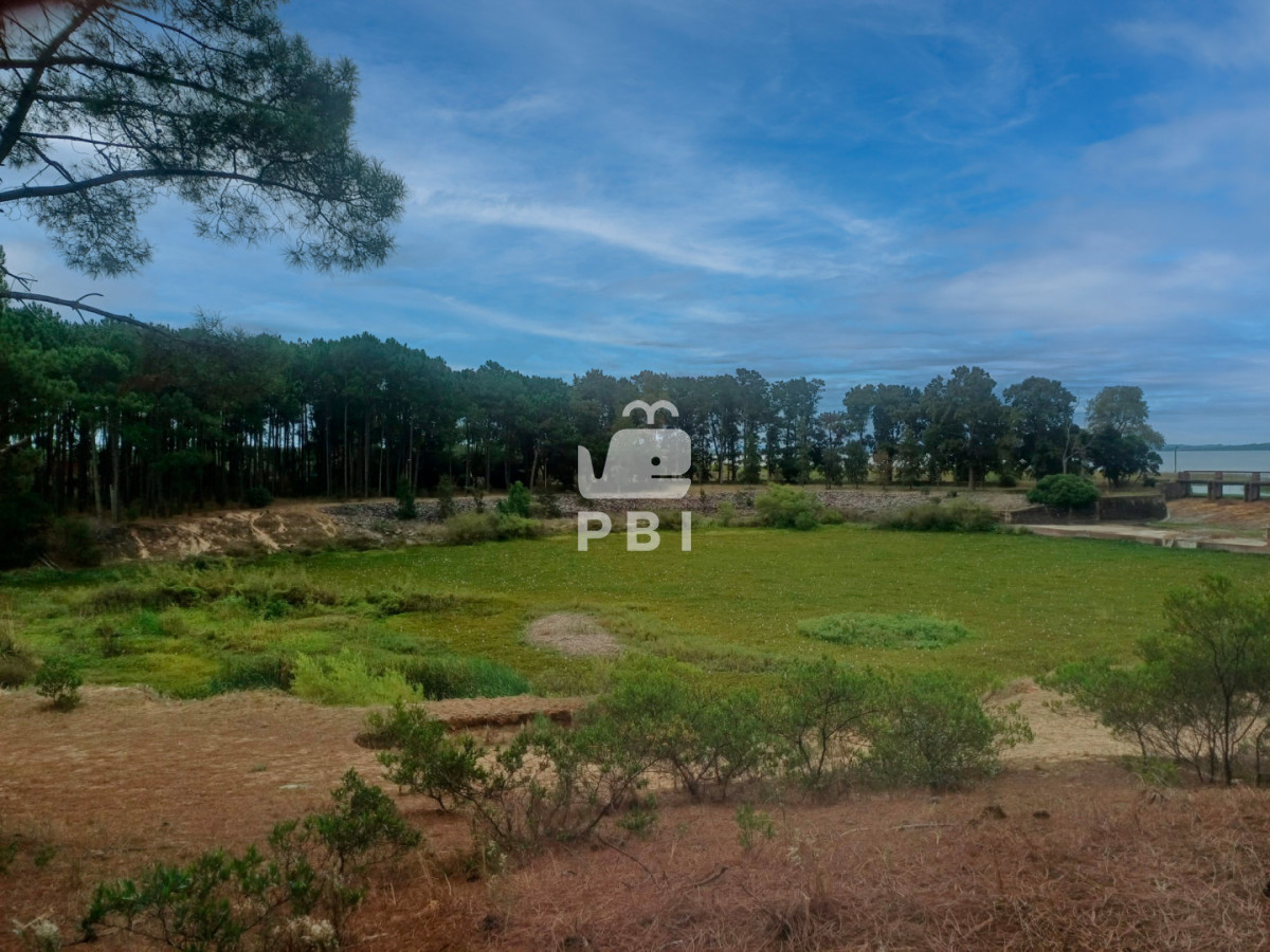 VGVycmVubyBlbiB2ZW50YSBlbiBDbHViIGRlbCBMYWdvLCBQdW50YSBCYWxsZW5hLiAtIFJlZiA6IFBCSTE1NjY3