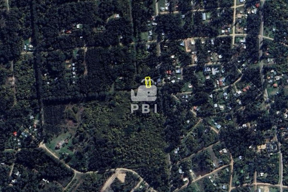 Sauce de Portezuelo - GoPunta - Portal Inmobiliario de Punta del Este - Maldonado